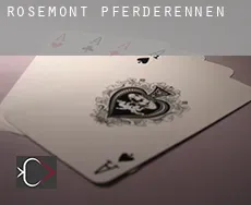 Rosemont  Pferderennen