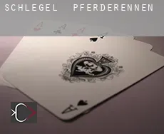 Schlegel  Pferderennen
