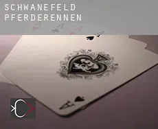 Schwanefeld Pferderennen