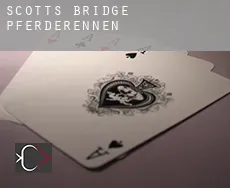 Scott’s Bridge  Pferderennen