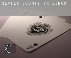 Sevier County  Bingo