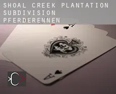 Shoal Creek Plantation Subdivision  Pferderennen