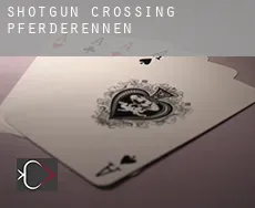 Shotgun Crossing  Pferderennen