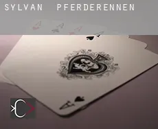 Sylvan  Pferderennen