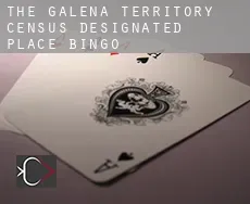 The Galena Territory  Bingo