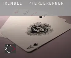 Trimble  Pferderennen