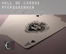 Vall de Cardós  Pferderennen