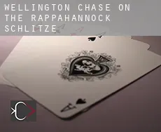 Wellington Chase on the Rappahannock  Schlitze