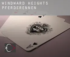 Windward Heights  Pferderennen