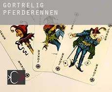 Gortrelig  Pferderennen