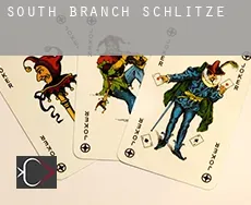 South Branch  Schlitze