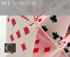 Boz  Schlitze