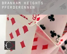 Branham Heights Pferderennen