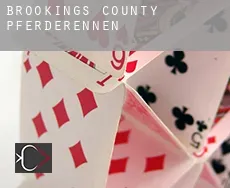 Brookings County  Pferderennen