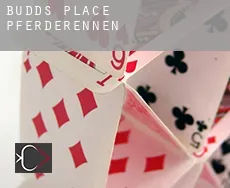 Budds Place Pferderennen