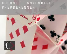 Kolonie Tannenberg  Pferderennen