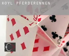 Koyl  Pferderennen