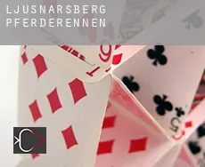 Ljusnarsberg Municipality  Pferderennen