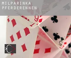 Milparinka  Pferderennen