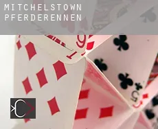 Mitchelstown Pferderennen