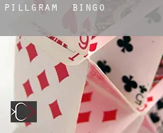 Pillgram  Bingo