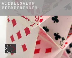 Widdelswehr  Pferderennen