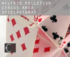 Wilfrid-Pelletier (census area)  Spielautomat