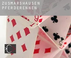 Zusmarshausen Pferderennen
