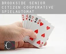 Brookside Senior Citizen Cooperative  Spielautomat