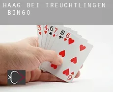 Haag bei Treuchtlingen  Bingo