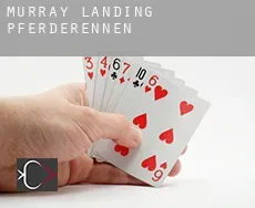 Murray Landing  Pferderennen