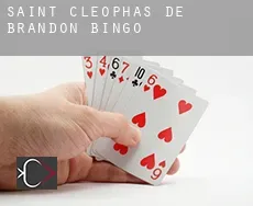 Saint-Cléophas-de-Brandon  Bingo