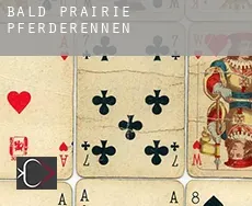 Bald Prairie  Pferderennen