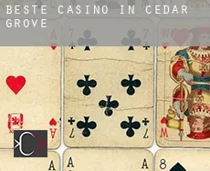 Beste Casino in Cedar Grove