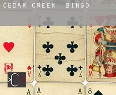 Cedar Creek  Bingo
