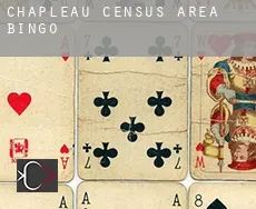 Chapleau (census area)  Bingo