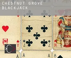 Chestnut Grove Blackjack