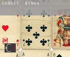 Condit  Bingo