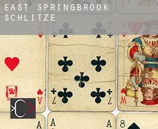 East Springbrook  Schlitze