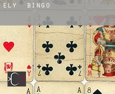 Ely  Bingo