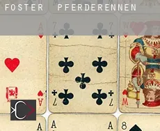 Foster  Pferderennen