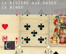 Rivière-aux-Vases (census area)  Bingo