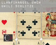 Llanfihangel-uwch-Gwili Schlitze
