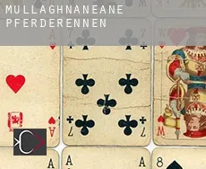 Mullaghnaneane  Pferderennen