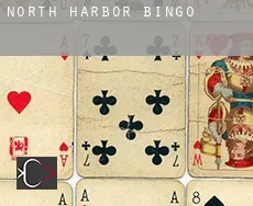 North Harbor  Bingo