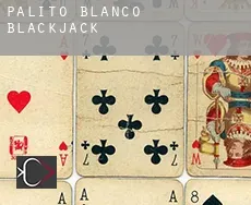 Palito Blanco  Blackjack