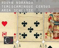 Rouyn-Noranda -Témiscamingue (census area)  Schlitze