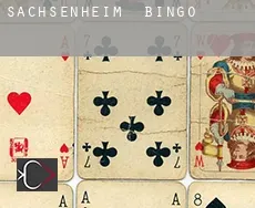 Sächsenheim  Bingo