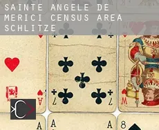 Sainte-Angèle-de-Mérici (census area)  Schlitze