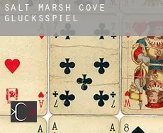 Salt Marsh Cove  Glücksspiel